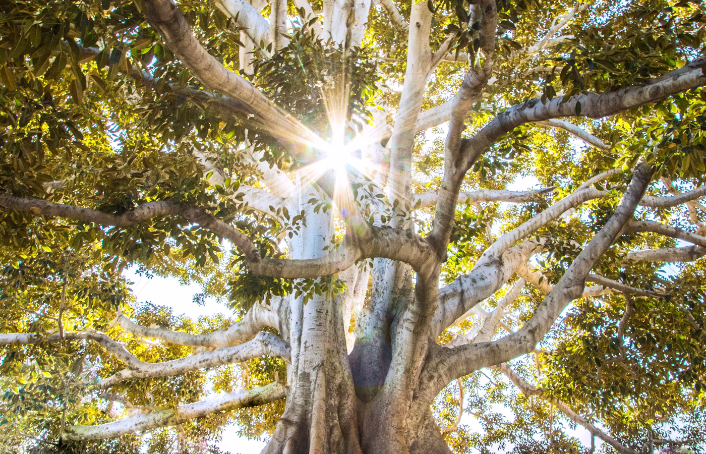 Антистресс практики онлайн в Красноярск